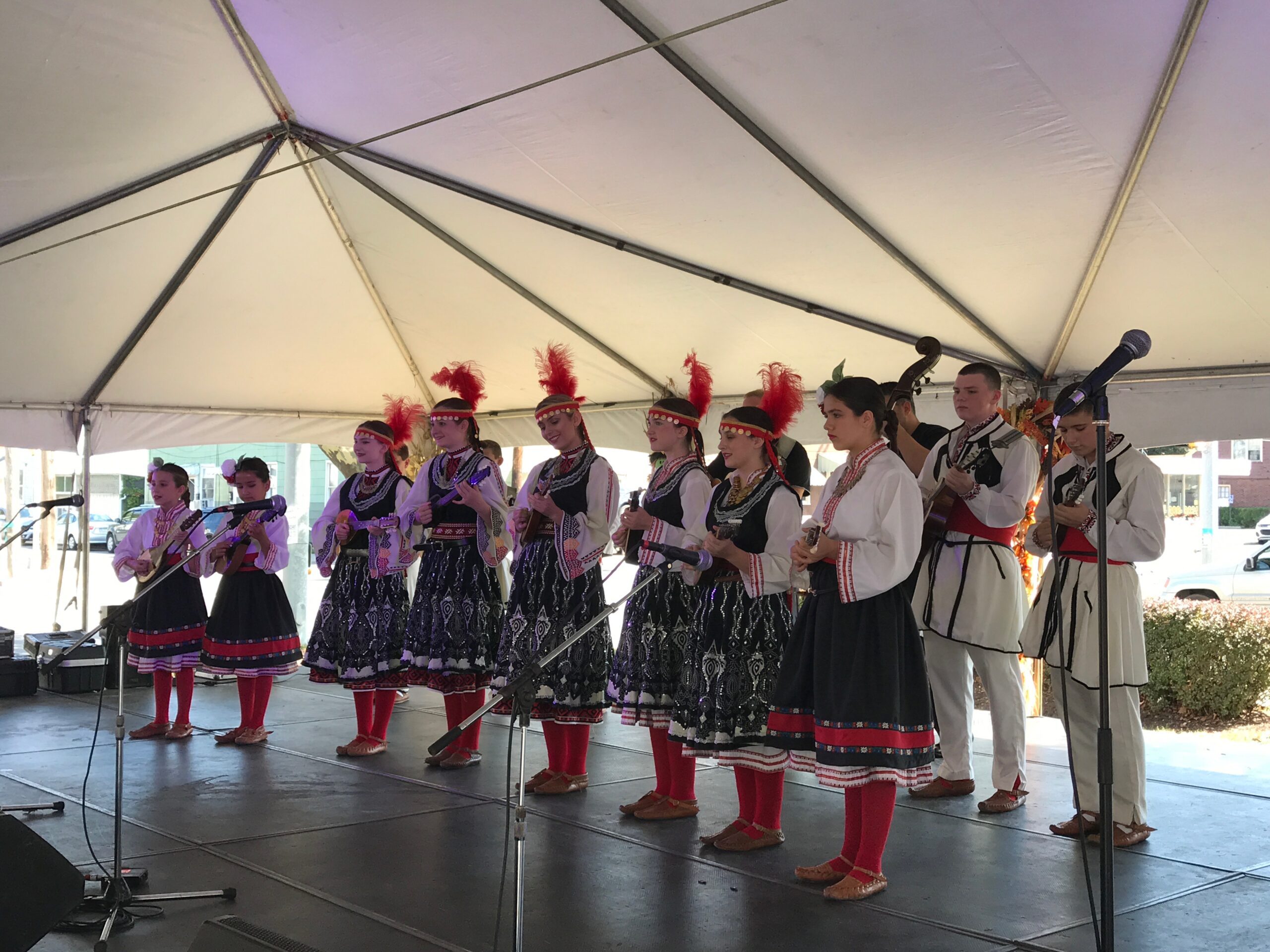 Slavic music and entertainment